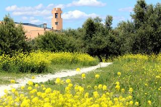 Imágenes de Valdemoro