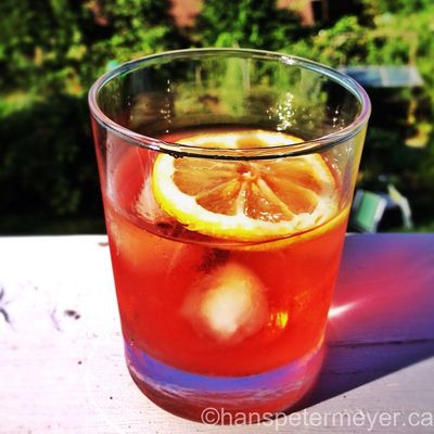 Negroni Cocktail