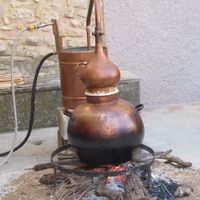 Aguardiente