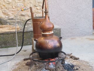 Alambique en funcionamiento en un lugar de Aragón, destilando aguardiente de vino