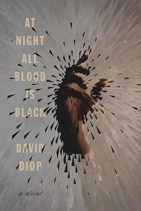 At Night All Blood Is Black