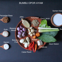 Opor Ayam