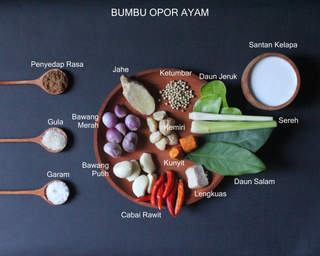 BUMBU OPOR AYAM