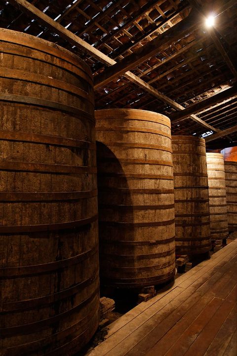 Cachaça barrels at Ypióca's museum 1