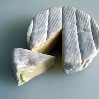 Camembert Cheese