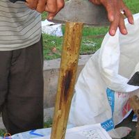 Lemang