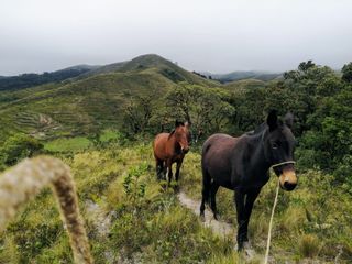 El cantarito