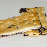 Garibaldi Biscuit