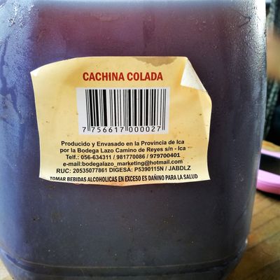 Cachina