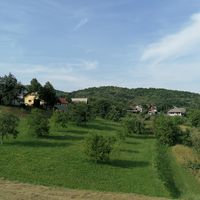 Suhor