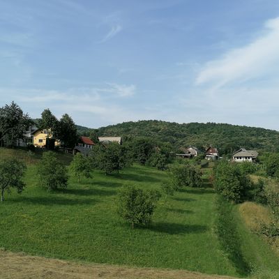 Suhor