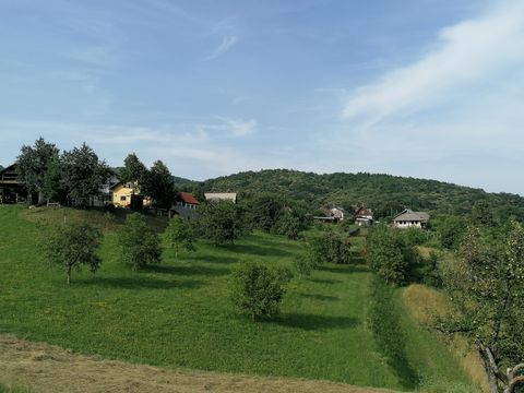 Gornji Suhor, Metlika