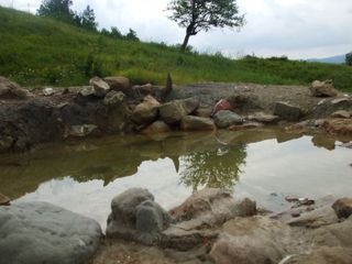 Izvor de saramură, Curcăneşti. - panoramio