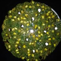 Jolada Rotti