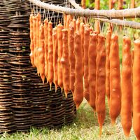 Churchkhela