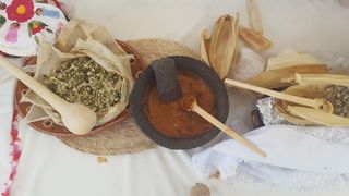File:MGSA2018 - Escamoles Salsa.jpg