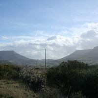 Pelau