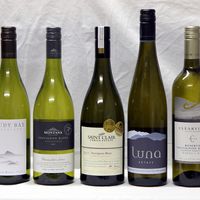 Sauvignon Blanc Wine