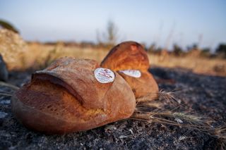 Pane-di-altamura-dop-official
