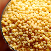 Pastina