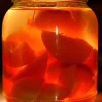 Kompot