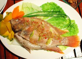 Pla thapthim nueng manao