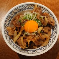 Pork Shogayaki