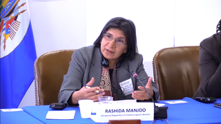 Rashida Manjoo 2014