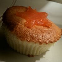 Smoked Salmon Cheesecake