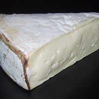 Vacherin