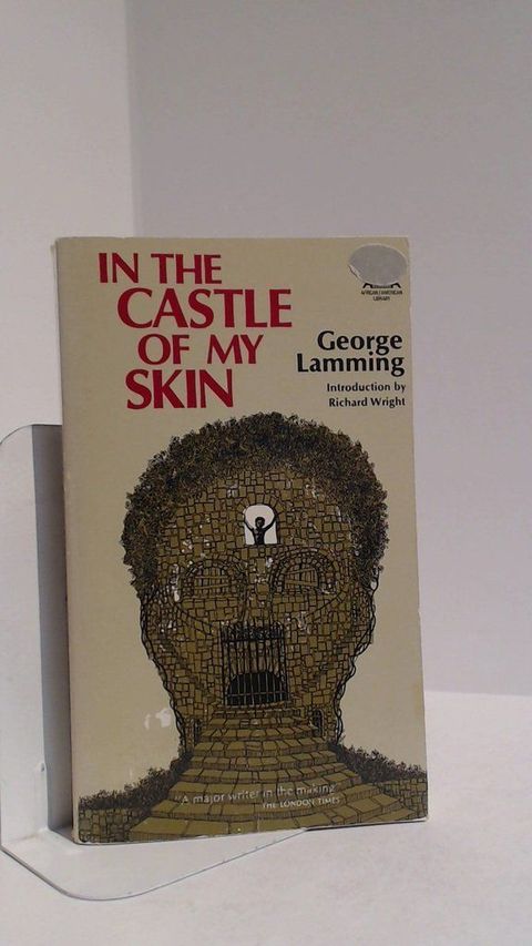 In the Castle of My Skin