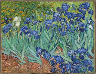 Irises by Vincent van Gogh