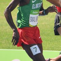Mohamed Ismail Ibrahim