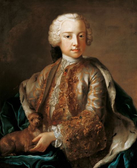 Prince Johann Nepomuk Karl I, Prince of Liechtenstein