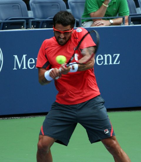 Janko Tipsarević
