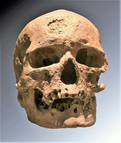 Cro-Magnon Man