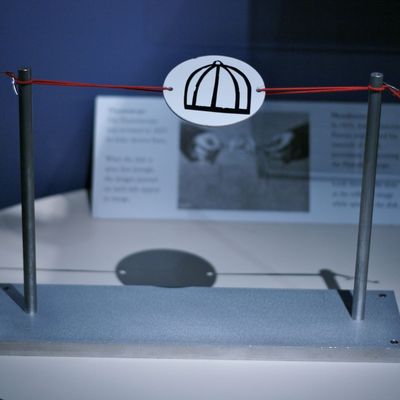 Thaumatrope