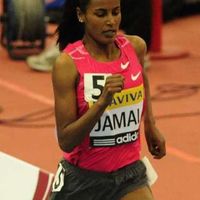 Maryam Yusuf Jamal