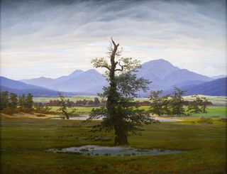 Solitary Tree by Caspar David Friedrich