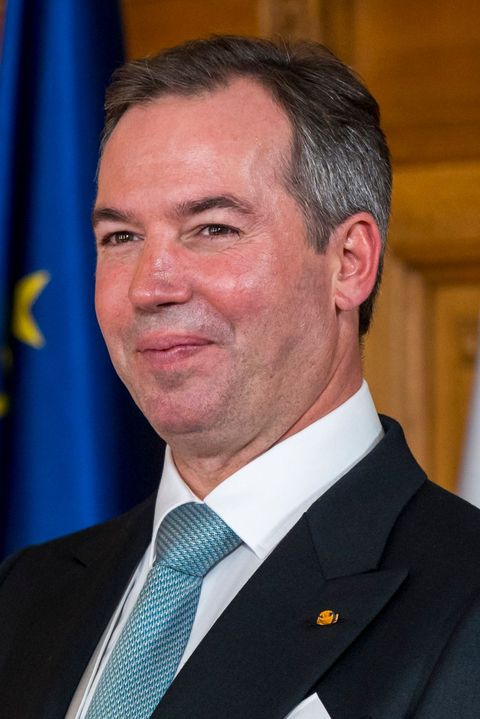 Guillaume V, Grand Duke of Luxembourg