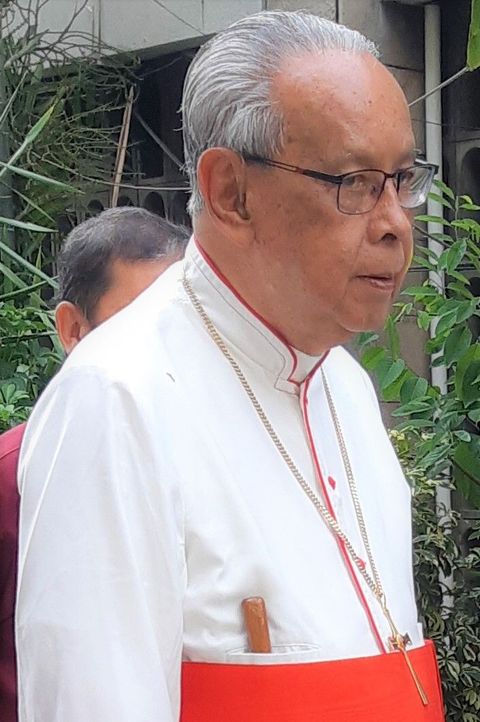 Julius Darmaatmadja