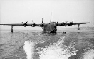 BV 238