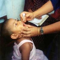 Polio vaccine