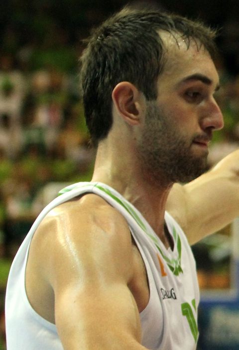 Mirza Begić