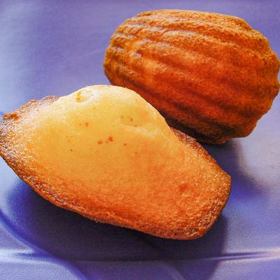 Madeleine