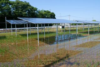 Agrivoltaics