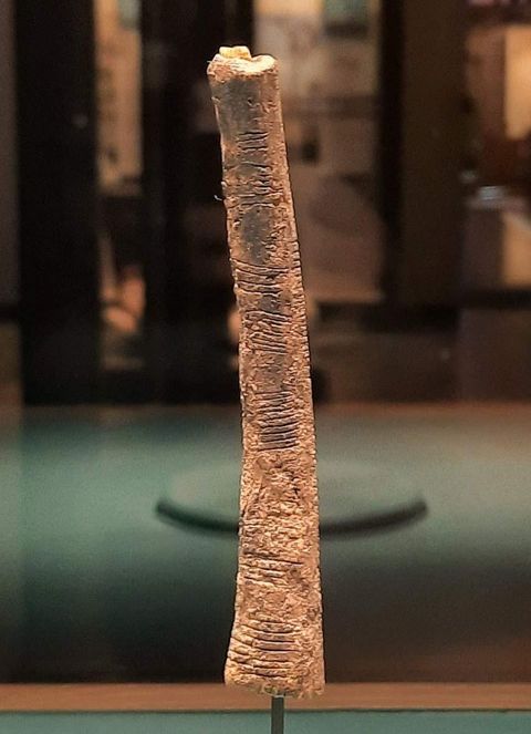 Ishango bone