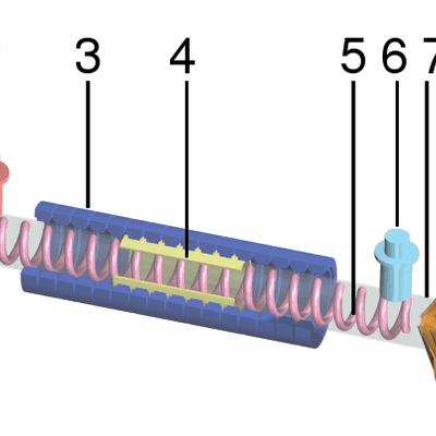 Traveling-wave tube
