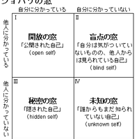 Johari window