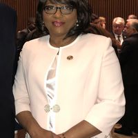 Carissa Etienne